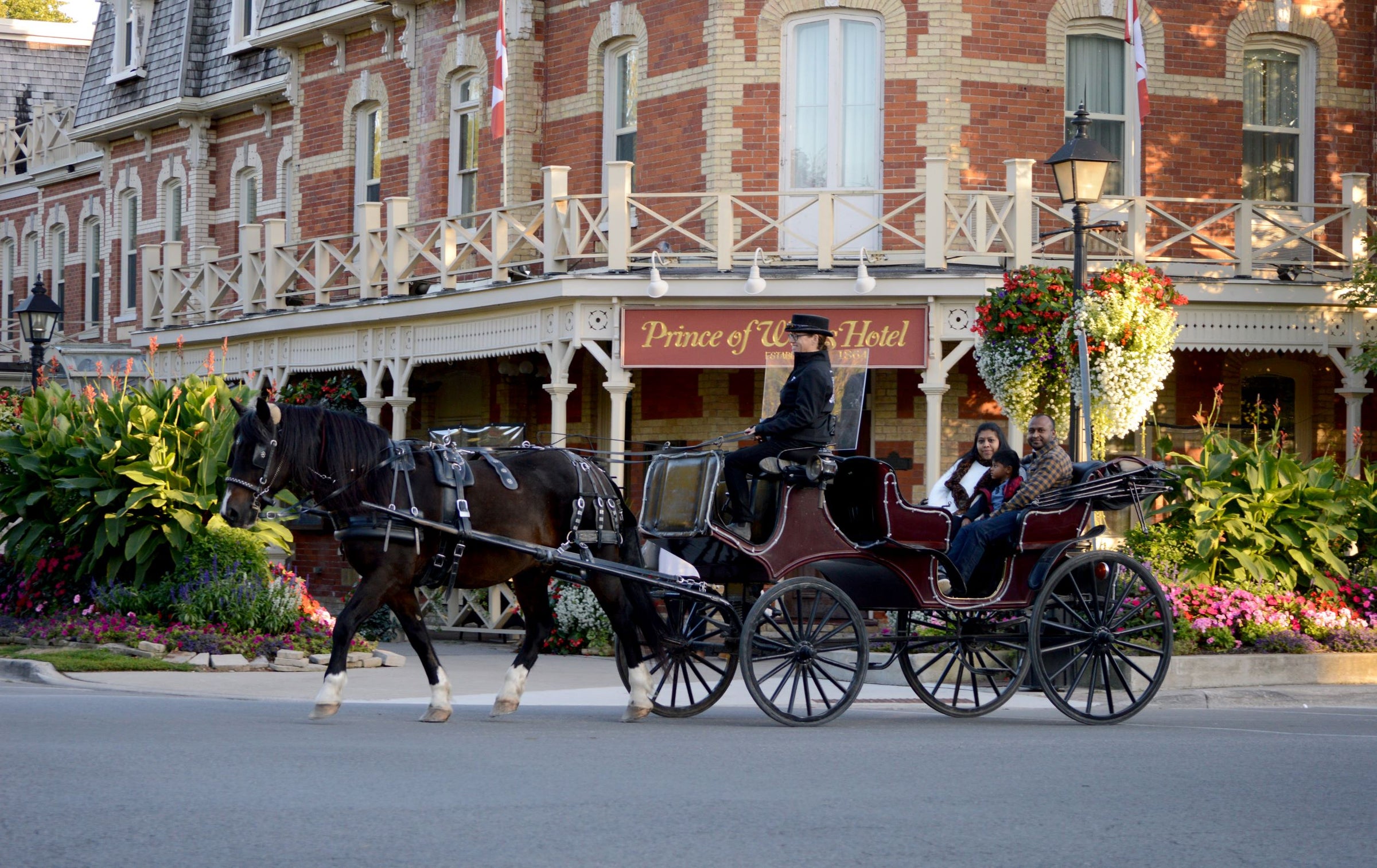 Horse Drawn Carriage Rides - Harbor View Hotel